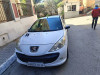 Peugeot 206 Plus 2011 206 Plus