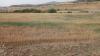 Vente Terrain Agricole Bouira Bordj okhriss