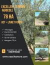 Vente Terrain Agricole Djelfa Ain oussara