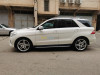 Mercedes ML 2013 250 CDI Pack AMG