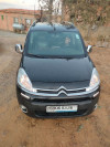 Citroen Berlingo 2013 Berlingo