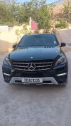 Mercedes ML 2013 250 CDI Pack AMG