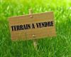 Vente Terrain Alger Cheraga