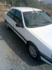 Peugeot 405 1995 405