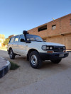 Toyota Land Cruiser 1995 Land Cruiser