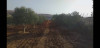 Vente Terrain Agricole Tlemcen Remchi