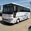 Eco bus Isuzu 2010