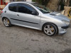 Peugeot 206 2001 2L HDi la TOut