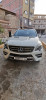 Mercedes ML 2013 250 CDI Pack AMG