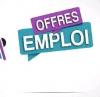 Offre d'emploi 