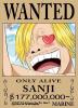 One piece wanted 