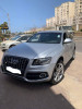 Audi Q5 2009 Off Road Pack Tech