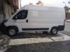 Fyat ducato Forgon 2023