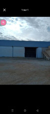 Location Hangar Blida Meftah