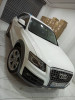 Audi Q5 2013 Off Road