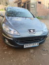 Peugeot 407 2007 407