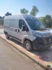 Fiat Ducato 2024