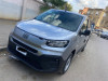 Fiat Doblo 2024 Toute