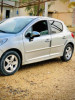 Peugeot 207 2011 Fennec