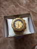 Festina chrono bike gold F16542 