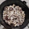 Champignons 