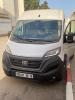 Fiat Ducato 2023 Professionnel