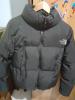 Veste the north face