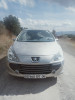 Peugeot 307 2007 Oxygo