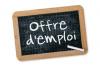 Offres d'emploi 