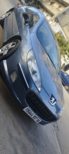 Peugeot 407 2007 407