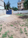 Vente Terrain Alger Khraissia