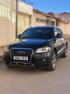 Audi Q5 2016 Offroad