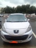 Peugeot 207 2012 Fennec