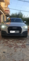 Audi Q3 2016 Off Road (facelift)