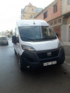 Fiat Ducato 2023