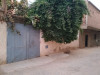 Vente Terrain Chlef Chettia