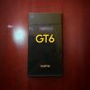 Realme gt6 China version