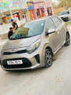 kai picanto 2019 xt star