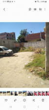 Vente Terrain Alger Reghaia