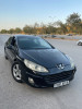 Peugeot 407 2007 407