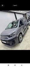 Fiat Doblo 2024 Now