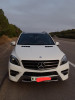 Mercedes ML 2015 250 CDI DISAGNO 4 MATIC PACK AMG