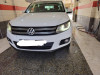 Volkswagen Tiguan 2014 Cup