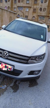 Volkswagen Tiguan 2014 Cup