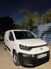 Fiat Doblo 2024 Professional