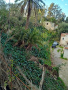 Vente Terrain Alger El biar