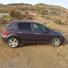 Peugeot 307 2003 XT