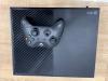 Xbox one 500gb avec manette 