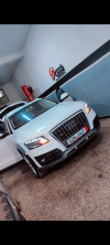 Audi Q5 2012 Off Road