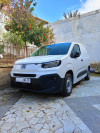 Fiat Doblo 2024 Professional